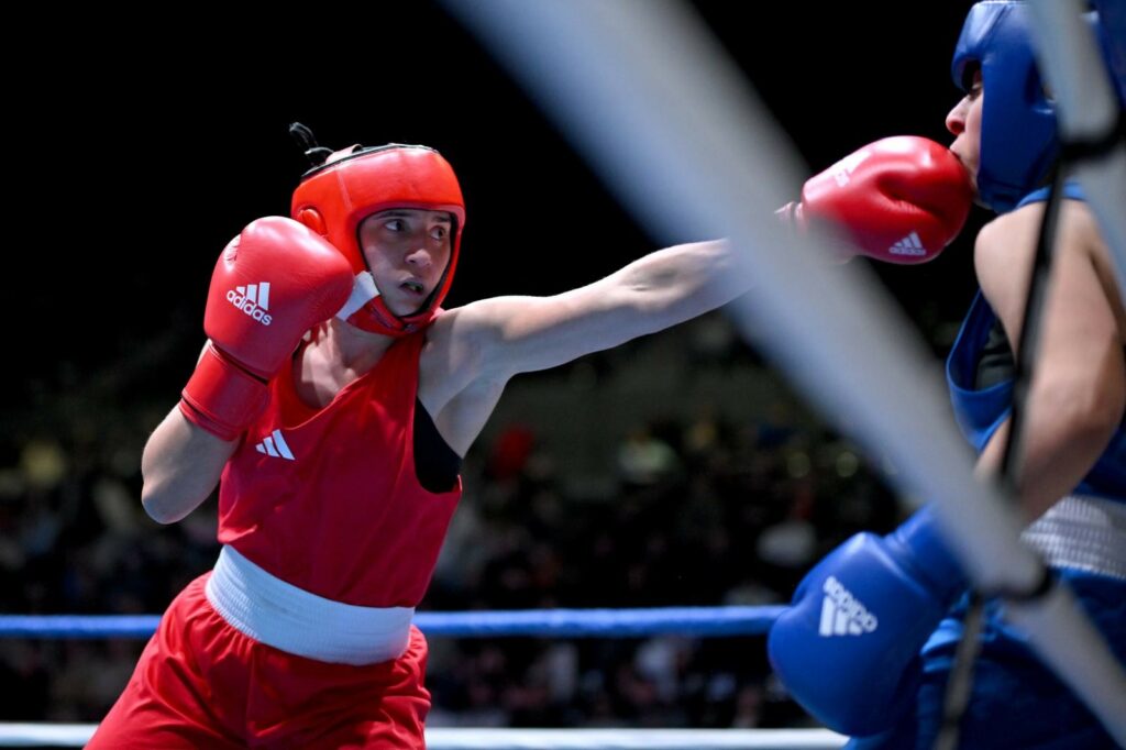 image section boxe